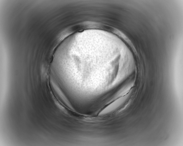 X0000086031049200704091129