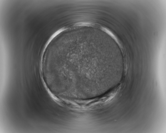 X0000086031050200704091129