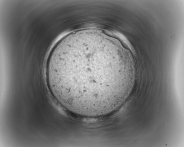 X0000086031051200704091129