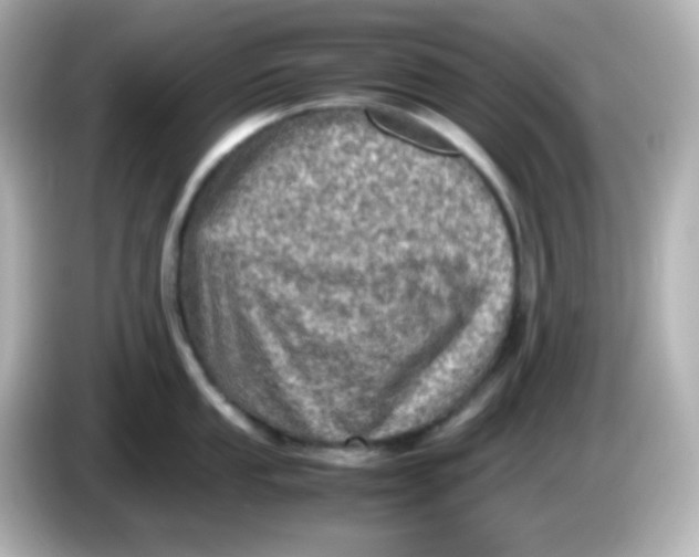 X0000086031053200704091129