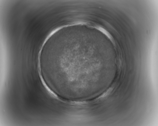 X0000086031055200704091129