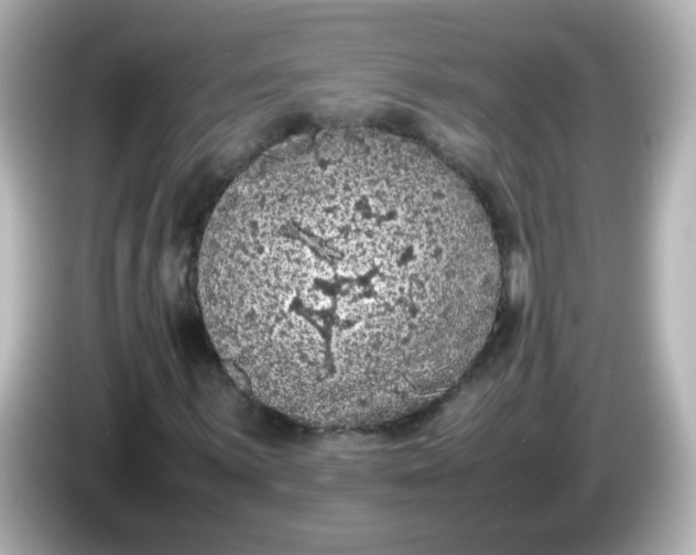 X0000086031059200704091128