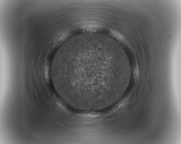 X0000086031060200704091128