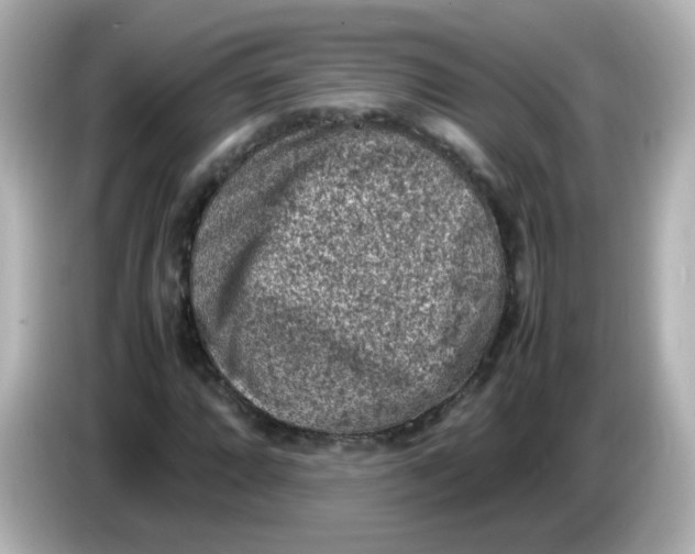 X0000086031064200704091128