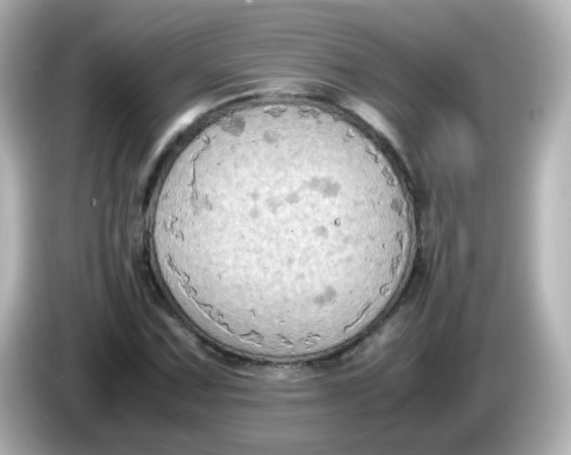 X0000086031067200704091128