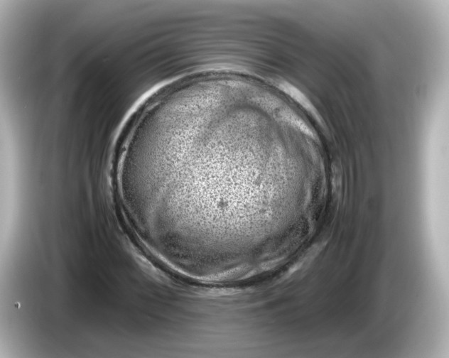 X0000086031068200704091128