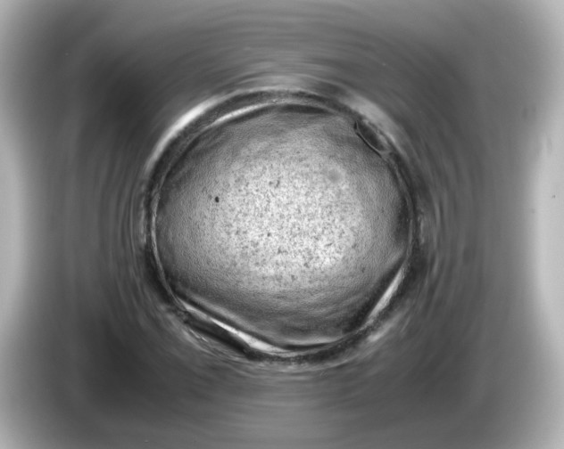 X0000086031069200704091128