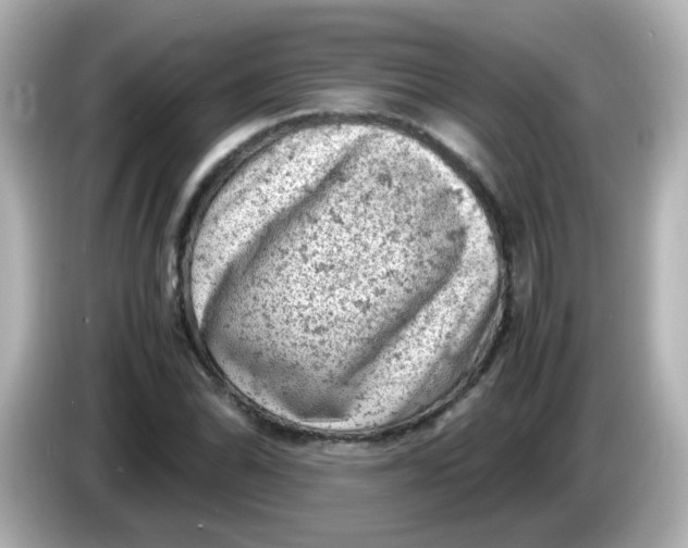 X0000086031070200704091128