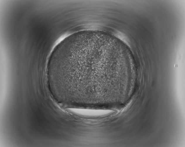 X0000086031071200704091128