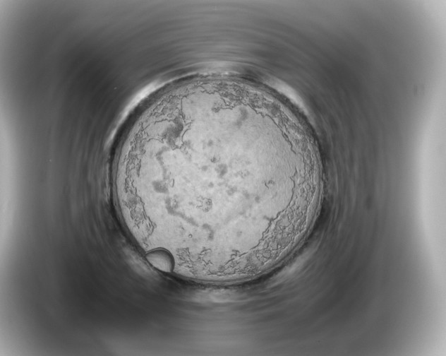 X0000086031075200704091128