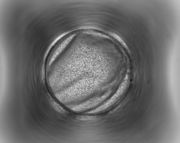 X0000086031076200704091128