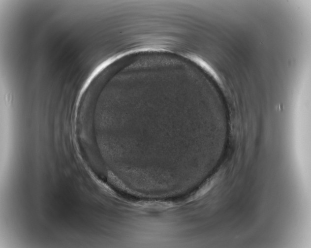 X0000086031077200704091128