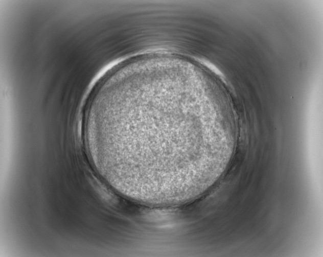 X0000086031078200704091128