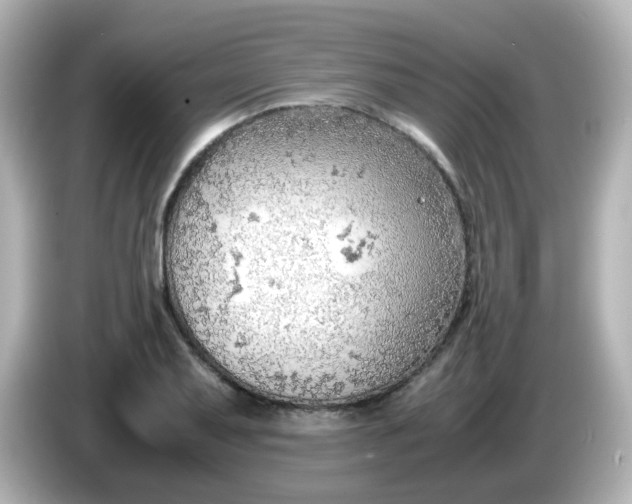 X0000086031079200704091128