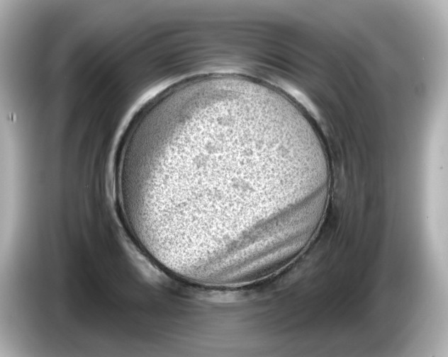 X0000086031080200704091128