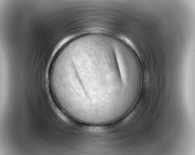 X0000086031082200704091128