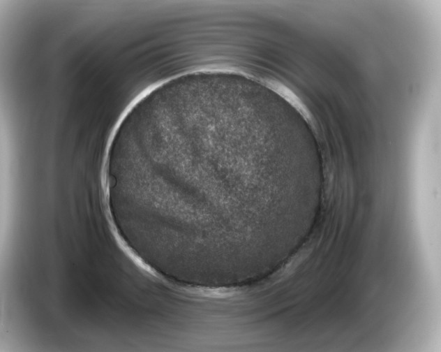 X0000086031084200704091128