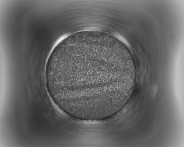 X0000086031087200704091128