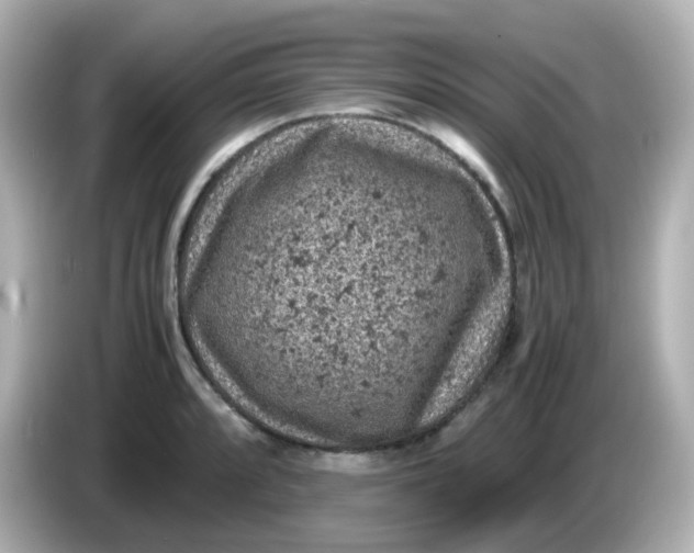 X0000086031088200704091128