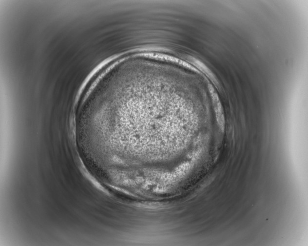 X0000086031092200704091128