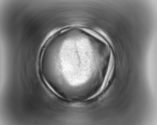 X0000086031093200704091128