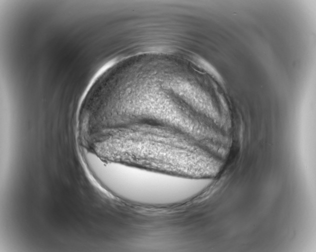 X0000086031095200704091128