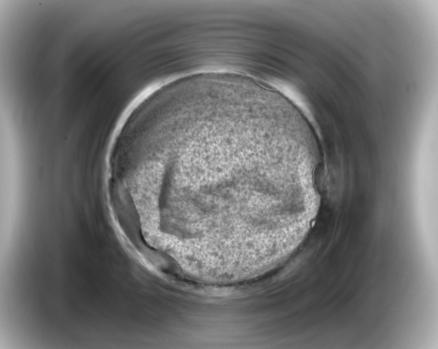 X0000086031096200704091128