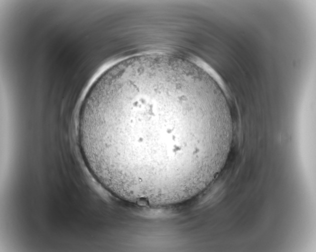 X0000086031099200704091128