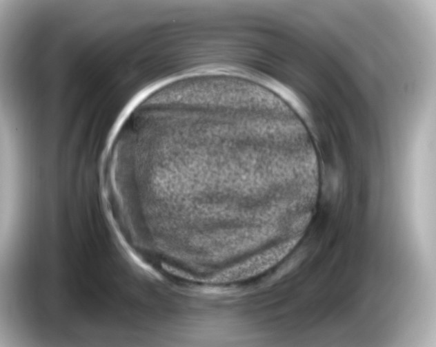 X0000086031102200704091128