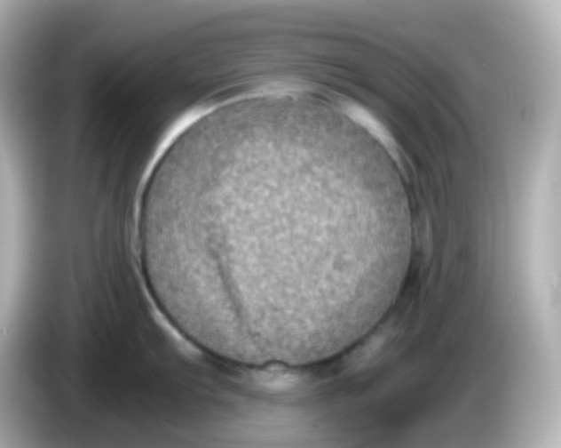 X0000086031103200704091128