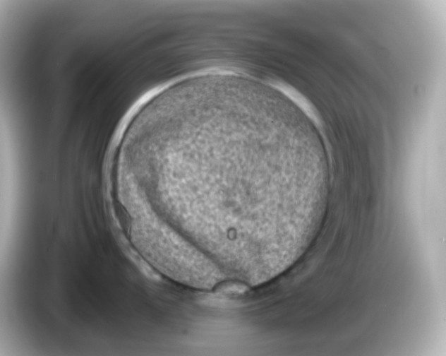 X0000086031104200704091128