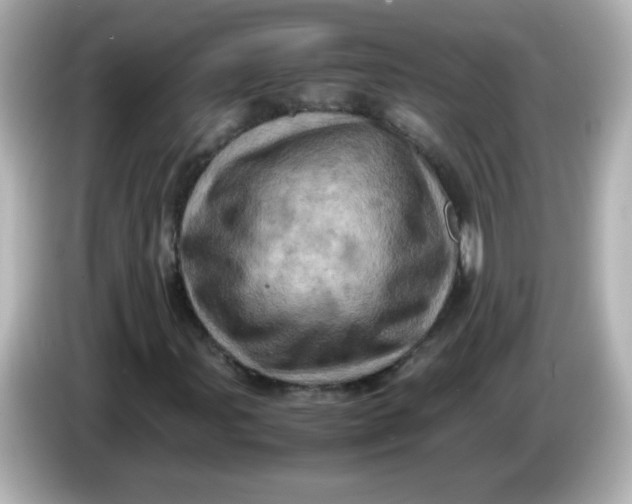 X0000086031107200704091127