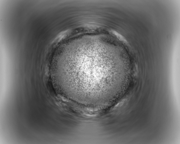 X0000086031110200704091127