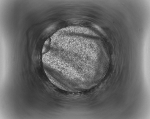 X0000086031111200704091127