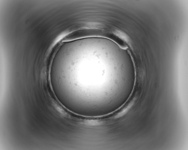 X0000086031114200704091127