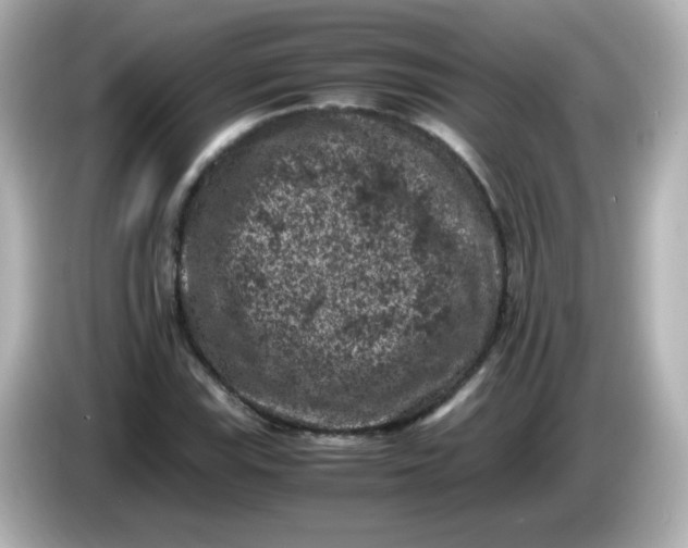 X0000086031115200704091127