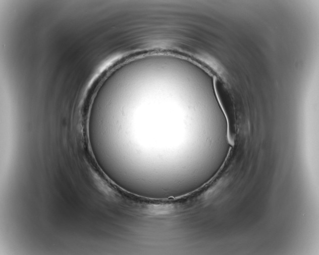 X0000086031118200704091127