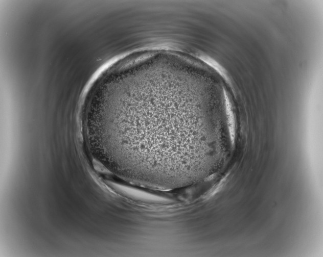 X0000086031120200704091127