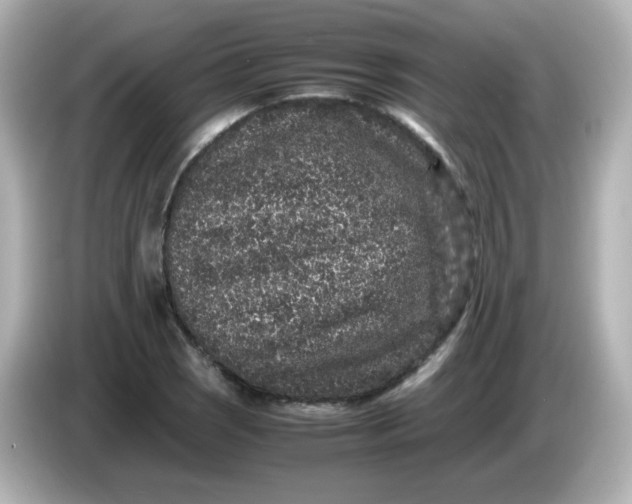 X0000086031121200704091127