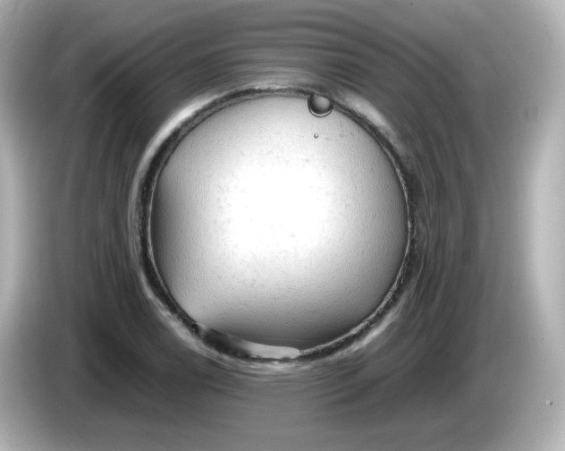 X0000086031122200704091127