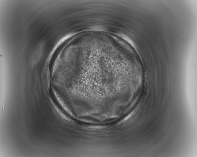 X0000086031123200704091127