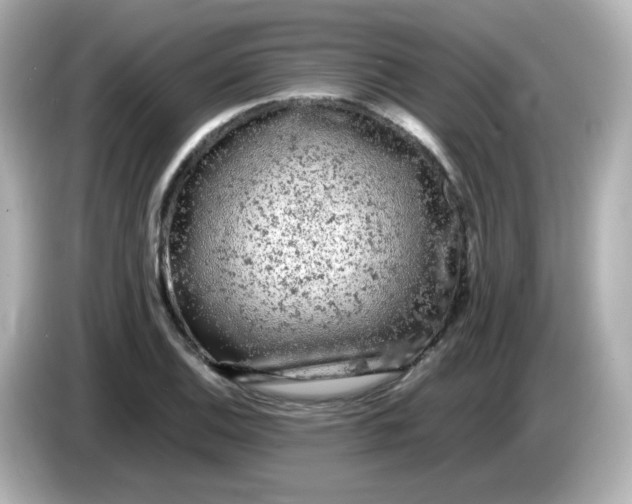 X0000086031124200704091127