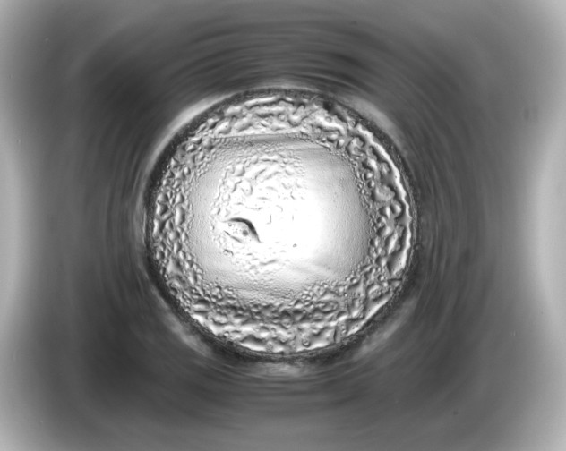 X0000086031125200704091127