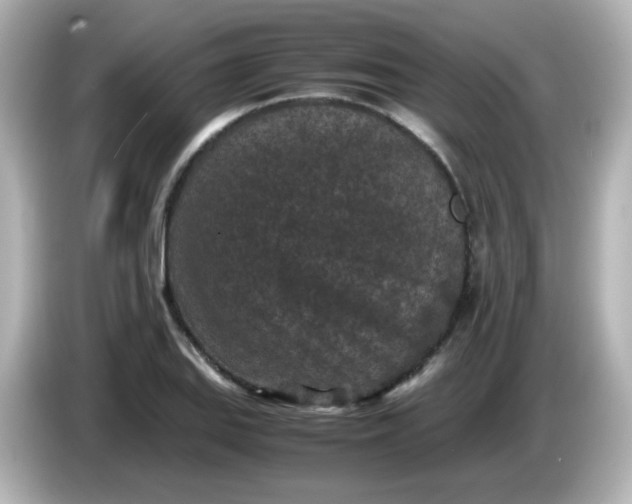 X0000086031127200704091127