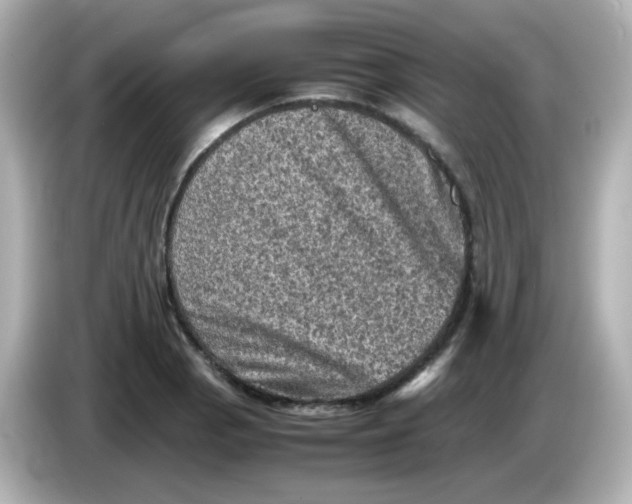 X0000086031129200704091127