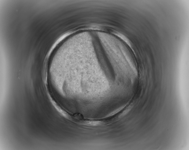 X0000086031131200704091127