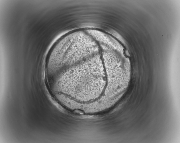 X0000086031132200704091127