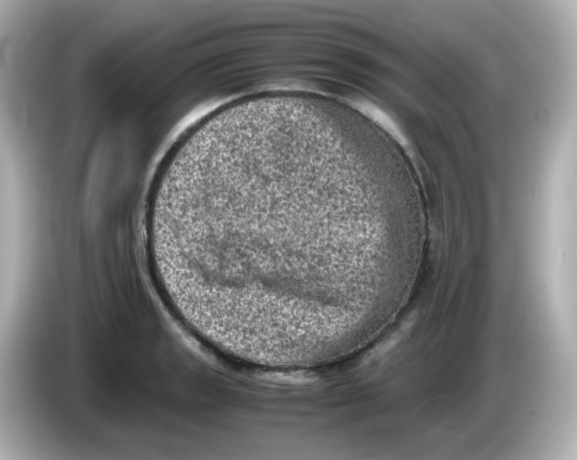 X0000086031133200704091127