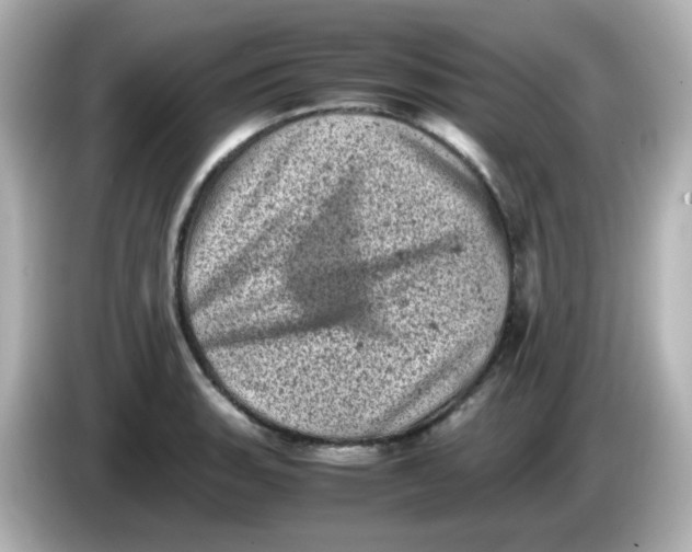 X0000086031135200704091127