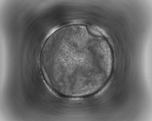 X0000086031137200704091127